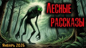 ЛЕСНЫЕ РАССКАЗЫ | Страшные истории