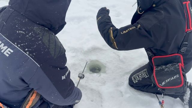 1000137527.mp4 смотреть онлайн