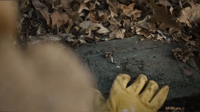 Белдхэм . Проклятие ведьмы (2024) . Ужас . США . Триллер