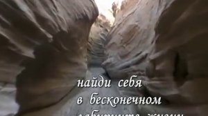 "Найди себя". Шри Чинмой. Вдохновляющие поэтические высказывания в форме слайд-шоу.