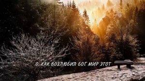 ЗОВ РОЖДЕСТВА