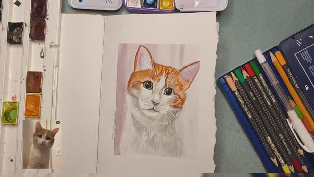 🧡Кот Твикс🧡 #рисунок Как рисовать котика Акварелью. Cute cat draw. Drawing a red cat in watercolo смотреть онлайн