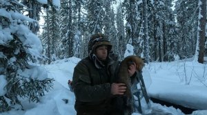 Лесные тропы в заснеженном лесу. Встреча с лосями и первый соболь в этом году!