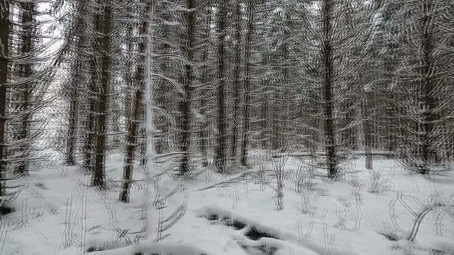 Охота с Добычем 05.01.2026. смотреть онлайн