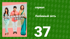 Любимый зять 37 серия (сериал, 2014)