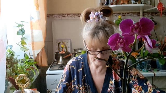 1000016716.mp4 🚀🖋️🚀 РОЖДЕСТВЕНСКИЙ СОЧЕЛЬНИК 💃🔥МОИ БУДНИ 🚀🖋️🚀 смотреть онлайн