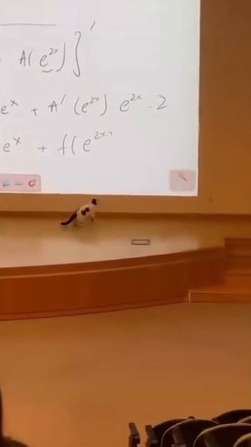 Еще один способ заставить ходить на свои лекции по высшей математике