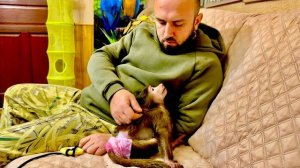 Это не Анфиса, а просто чудо, вы только посмотрите как она ластится к Денису❤️