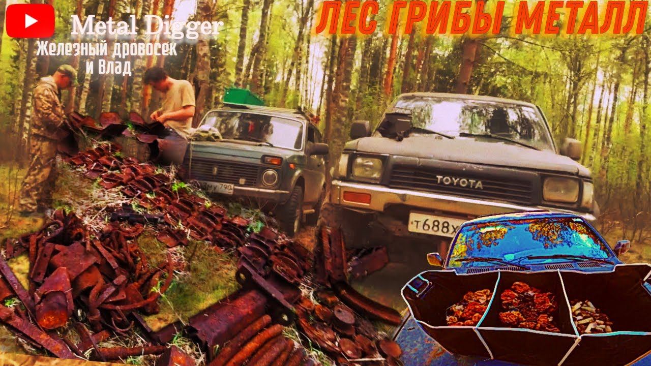 Финальная часть поиска в месте 