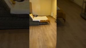 Запорожская обзор