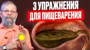 3 упражнения для пищеварения