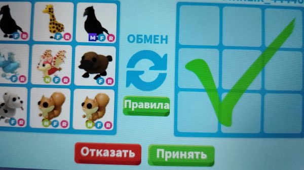 траст трейды адопт ми