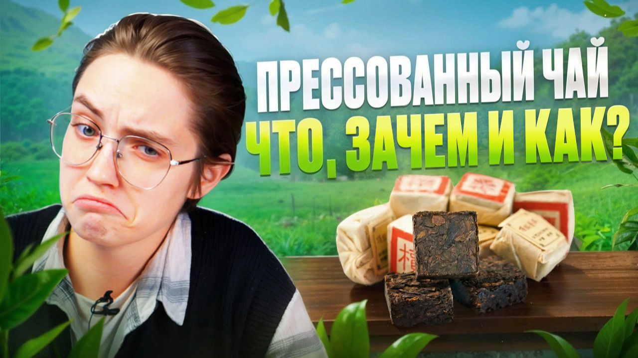 Как заваривать прессованный пуэр и другие виды чая. История, выбор, подделки. смотреть онлайн