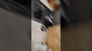 привет всем