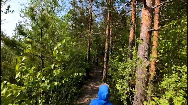 2025.06.04. Сестрорецкое болото. Ч.2