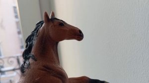 1 раунд для канала arina_live(конкурс)