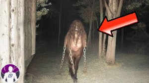 ВИДЕО которые ЗАСТАВЯТ вас ДРОЖАТЬ