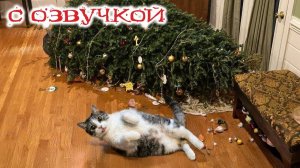 Приколы с котами! С ОЗВУЧКОЙ! Самые смешные животные! СМЕШНЫЕ КОТЫ  и собаки! ДО СЛЕЗ!