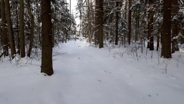 Межсезоннае видео Bushcraft