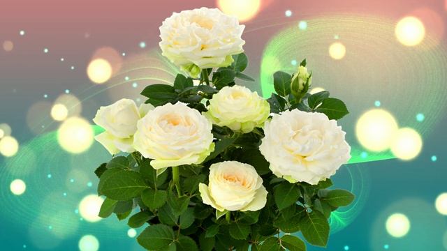 Футаж. Цветочный фон 249 смотреть онлайн