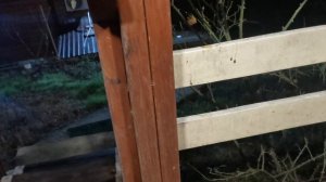 СОЧИ ГОРНОЕ ЛОО УТРО 06.01.2026