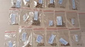 Исключительно вкусные среднеспелые сорта томатов.06.01.2026