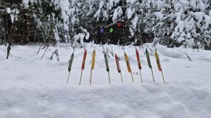 Олимпиада в России 2026🚀