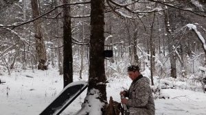 Проверка капканов. Косули опять перехитрили.