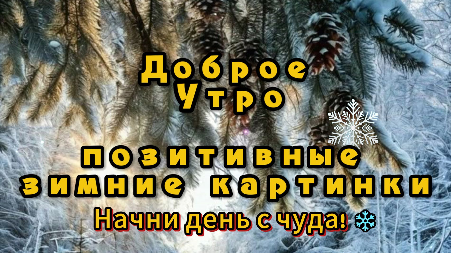 Доброе Утро Позитивные Зимние: пожелания смотреть онлайн