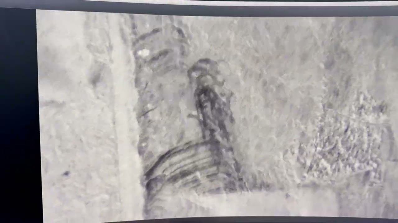 Dji Mavic 3 ошибки ESC (ремонт дронов Dji)