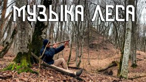 Дзен Флейта / Музыка Души из Лесной Глуши