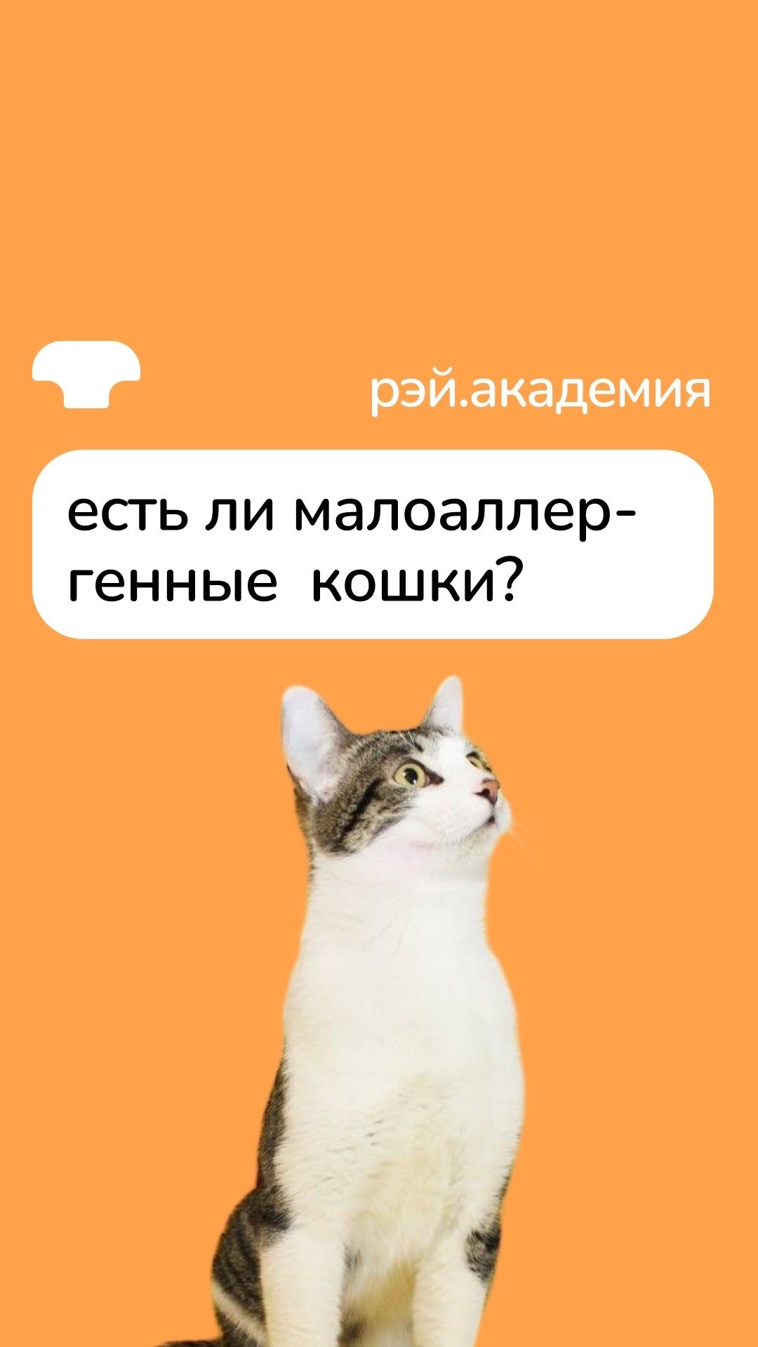 У вас аллергия на животных, но так хочется завести питомца? смотреть онлайн