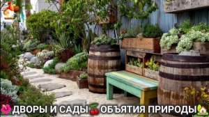 Дворы и сады 🍒 идеи оформления дачи в объятиях природы 🏡 (15) 🌳