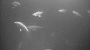 Рыбалка на о. Большой Сунгуль 03-04.01.2026