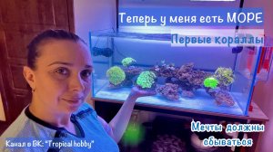 Морской аквариум. Мои первые кораллы🪼
