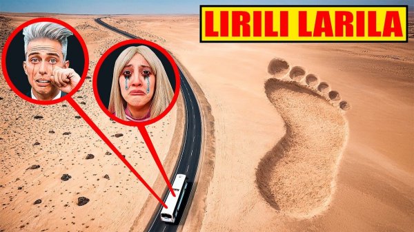 LARILI LARILA НАПАЛ НА НАШ ДОМ НА КОЛЕСАХ -помогите-