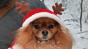 Антисептик:два года в эфире...!