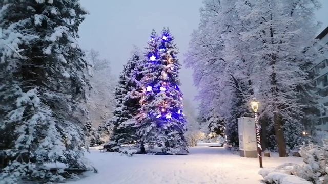 Зимняя сказка Кубани : волшебное утро!