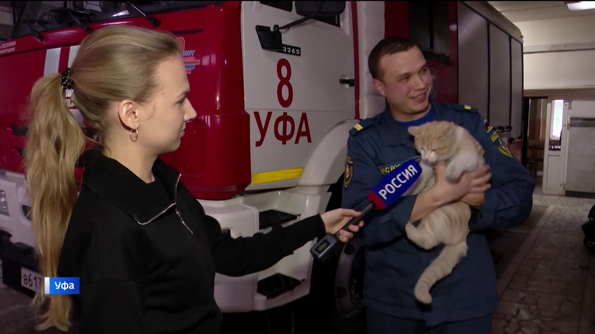 Рыжий кот растопил сердца суровых огнеборцев в Уфе смотреть онлайн