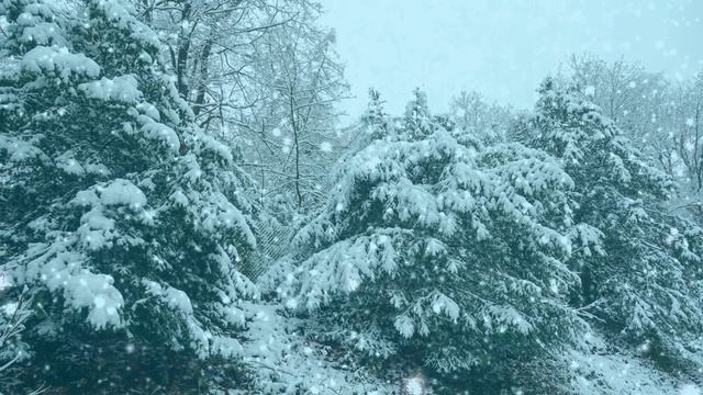 Футаж. Зимний пейзаж 148 смотреть онлайн