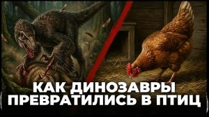 Как появились первые птицы? Эволюция пернатых после гибели динозавров 66 млн лет назад | Фороракосы