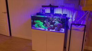 Обслуживание морского аквариума