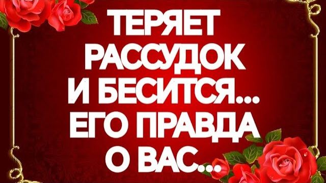 ЕГО ПРАВДА О ВАС‼️ЧТО ТАК ЗЛИТ И ВЫВОДИТ ИЗ СЕБЯ⁉️ТАРО РАСКЛАД смотреть онлайн