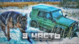 ЧТО СЛУЧИЛОСЬ ПЕРЕД БОЕМ?! загадка контрабанды -З часть