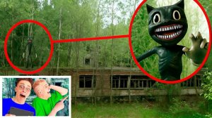 ЭТО НЕ ФЕЙК! Дрон заснял настоящего CARTOON CAT!