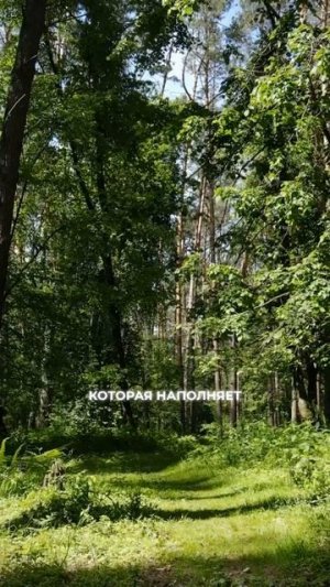 Внушенная идея о жизни в больших городах