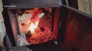 ВСЕ СОБАКИ РАЗНЫЕ. ТУЛАН МАЛО ЕСТ. 02.01.26