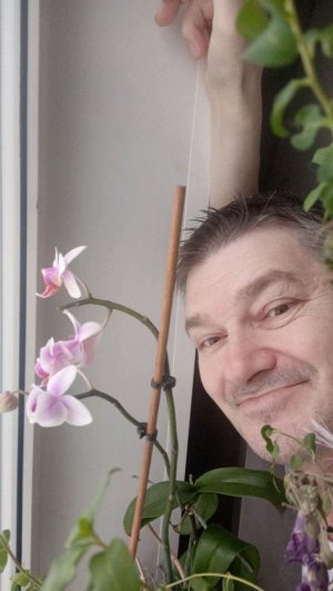 МУКБАНГ говорил красиво