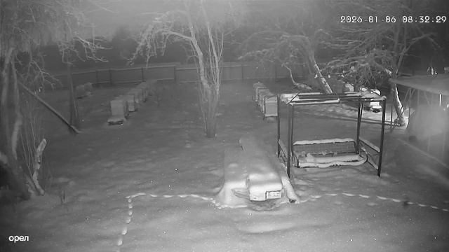 Куница на пасеке. С 1:00 минуты смотреть онлайн