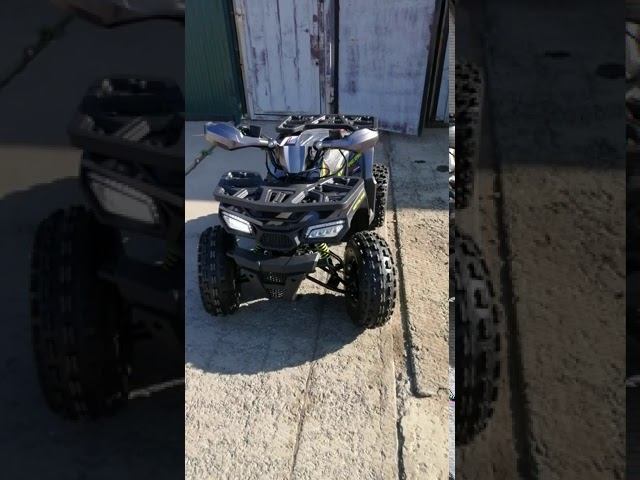 квадроцикл wild 125 смотреть онлайн
